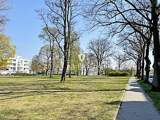 Park mit Wasser vor Tür